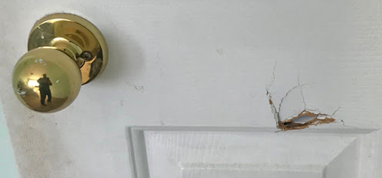 interior door hole repair Oasis