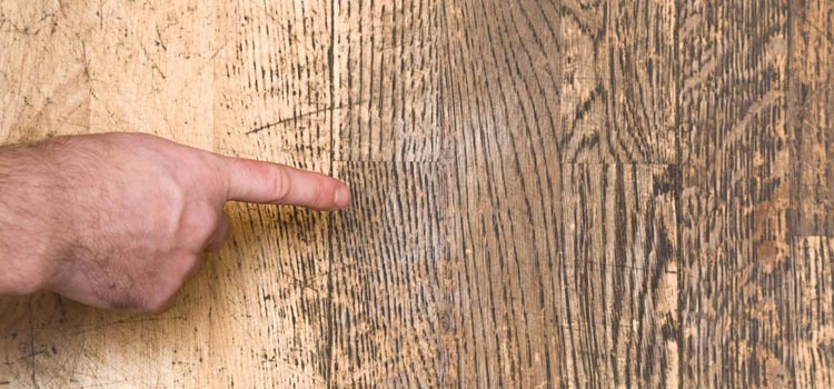 Wood Door Scratch Repair in Oasis
